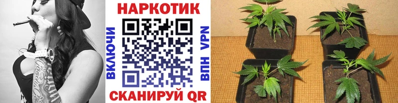 Где найти наркотики Каменск-Шахтинский ГАШИШ КОКАИН МЕФ A PVP Марихуана