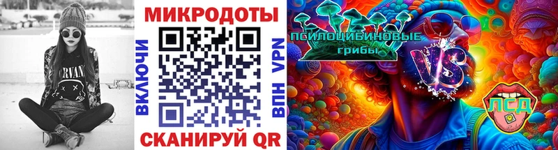 Псилоцибиновые грибы мицелий Каменск-Шахтинский