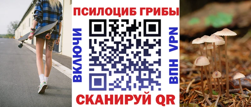 Псилоцибиновые грибы MAGIC MUSHROOMS наркошоп KRAKEN Каменск-Шахтинский