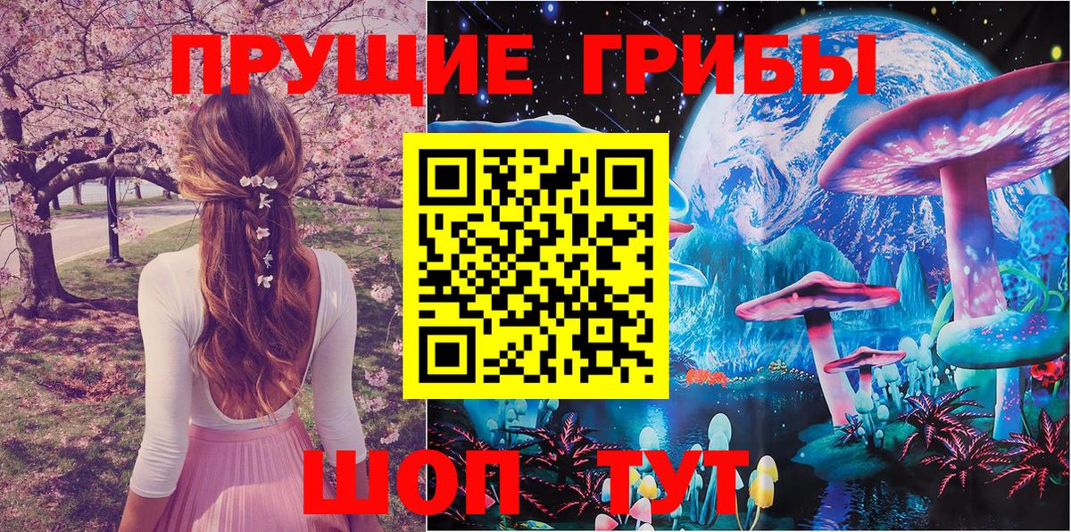 Псилоцибиновые грибы Magic Shrooms Каменск-Шахтинский